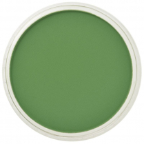 PanPastel Artists' Pastels 9ml Chromium Oxide Green
