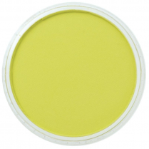 PanPastel Artists' Pastels 9ml Bright Yellow Green