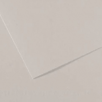 Canson Mi-Teintes Drawing Paper 19-1/2" x 25-1/2" 120 Pearl Grey