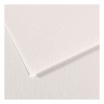 Canson Mi-Teintes Drawing Paper 19-1/2" x 25-1/2" 335 White