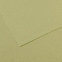 Canson Mi-Teintes Drawing Paper 19-1/2" x 25-1/2" 480 Light Green