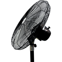 HIGH VELOCITY PED FAN 25 BLK ROYAL SOVEREIGN