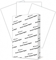 Accent Opaque Vellum Cover Stock White 80lb 17 x 23 Single Sheet
