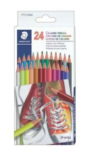 Staedtler Coloured Pencils Assortd Colours 24/box
