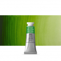Winsor & Newton Professional Watercolour 14ml Permanent Sap Green