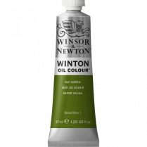 Winton Oil Colour 37ml Sap Green