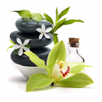 SPA RENEWAL CARTRIDGE