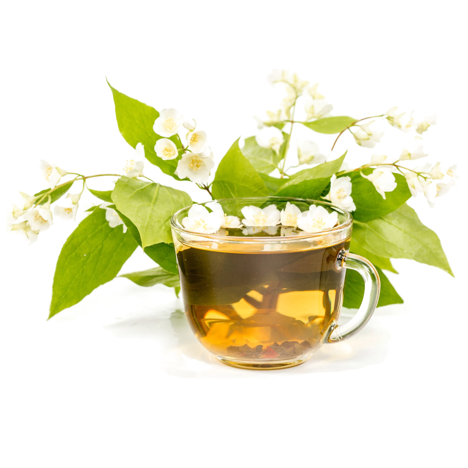 White Tea 6 Pack Oil Refill – MYZI SCENTS