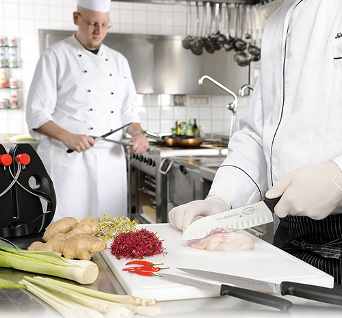 Professional chefs working in a kitchen