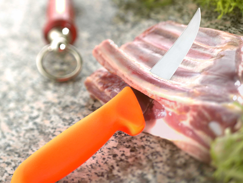 FDick master grip series knives image