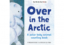 OVER IN THE ARCTIC Paperback