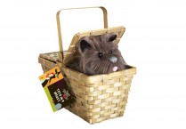 TOTO and BASKET for Dorothy from Wizard of Oz
