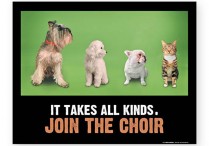 CHOIR. IT TAKES ALL KINDS POSTER