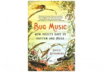 BUG MUSIC:  How Insects Gave Us Rhythm and Noise