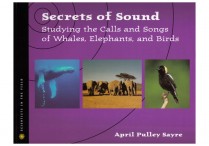 SECRETS OF SOUND: Studying the Calls & Songs of Whales, Elephants, and Birds Paperback
