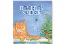 ITSY BITSY SPIDER  Paperback