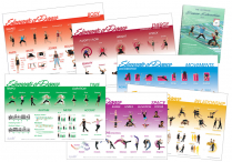 The ULTIMATE ELEMENTS OF DANCE  Book & Posters