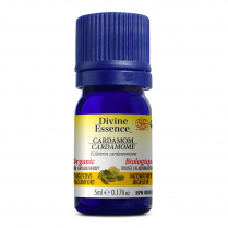 Cardamom Organic