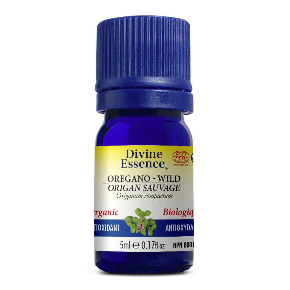Oregano - Wild Organic
