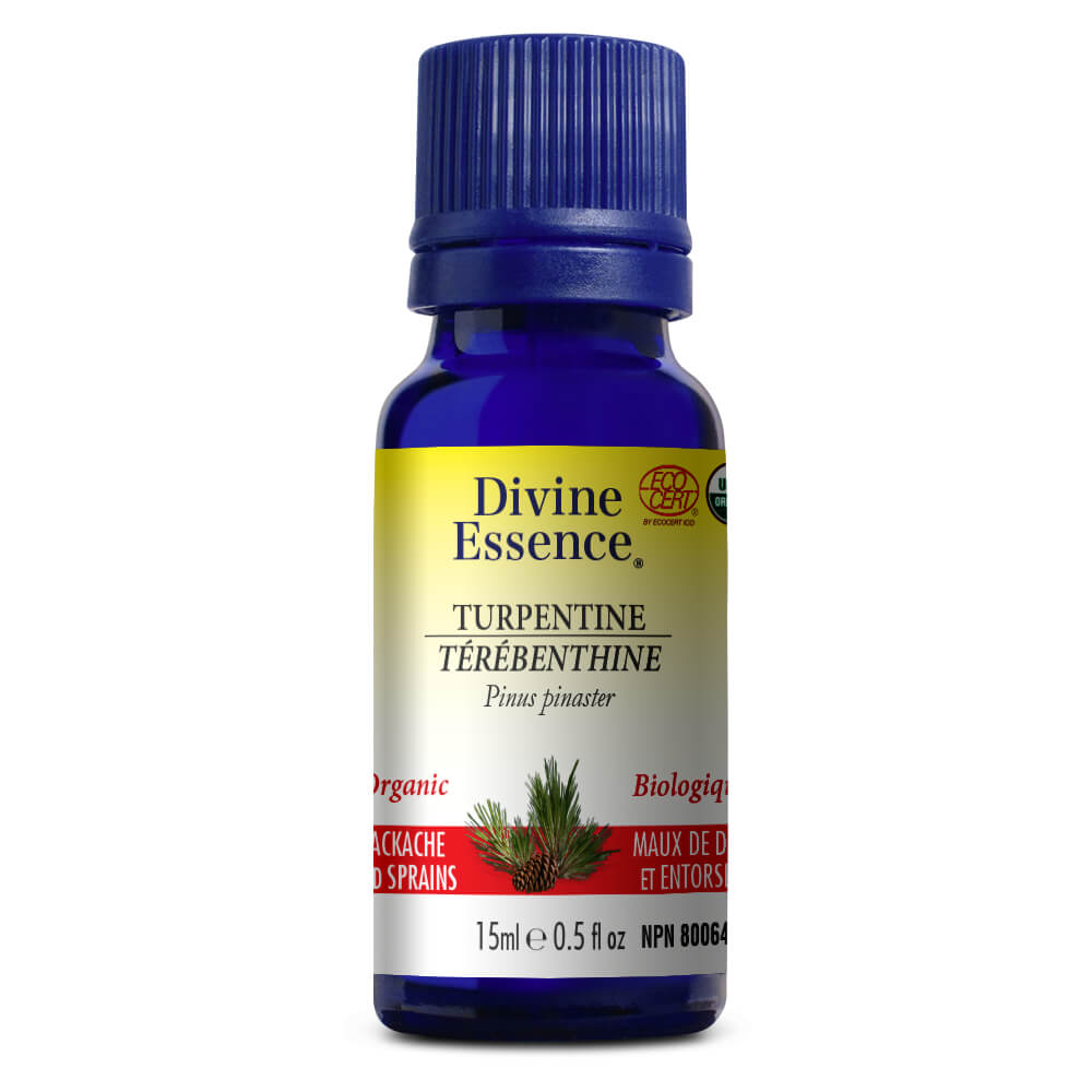 Turpentine Uses - Pinus Pinaster  Miracle Botanicals Blog– Miracle  Botanicals Essential Oils
