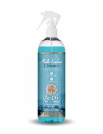 Multi Surface Cleaner (Blueberry) 485ml