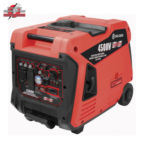 Aspirateur à cendres 5 gallons KING Canada - Power Tools