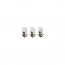 9V/2Ah Replacement Bulb