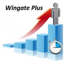 Lode Ergometry Manager (LEM) Wingate