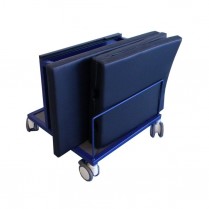 Storage Cart and Cushions for Echo Cardiac Stress Table