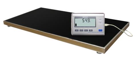 Weighing Scale Battery
