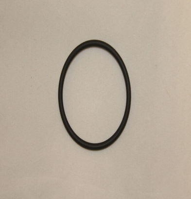 20475977 O-ring (P49)