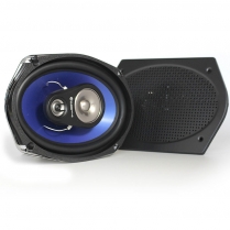 Dual Voice Coil Speaker - 6" x 9" 4 ohm 140 Watt
