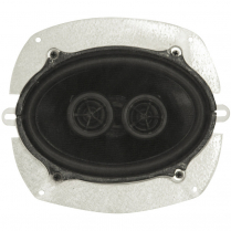 Dual Voice Coil Speaker - 5" x 7"  4 ohm 140 Watt