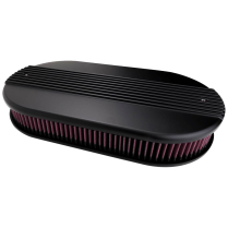 Dual Quad Ribbed Air Cleaner - Black