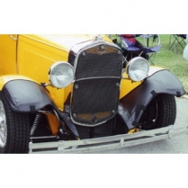 1931 Ford Car & Pickup Bug Screen
