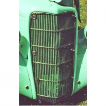 1935 Ford Passenger Car Bug Screen