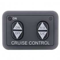 Dash Mount Cruise Control Switch