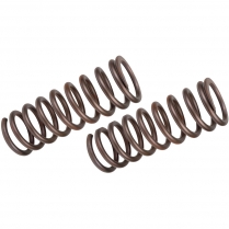 Mustang II Front Coil Springs - 350 lb Rate