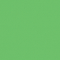 14 Gauge Primary Wire, 100 ft Roll - Light Green